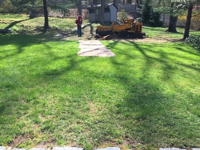 Finished stump removal by Rockaway NJ Tree Service
