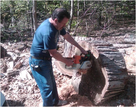 Chainsaw work during a tree cutting job in Rockaway, NJ