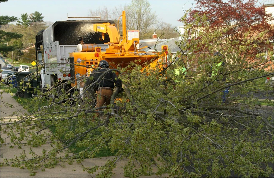 Wood chipper running during an emergency tree service in Rockaway, NJ