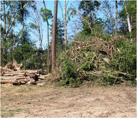 A cleared lot ready for use in the Rockaway NJ area