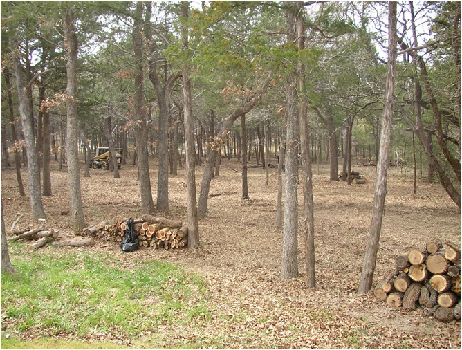 Brush and small trees cleared from a lot in Rockaway, New Jersey