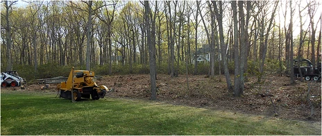 Brush clearing in progress on a Rockaway NJ property