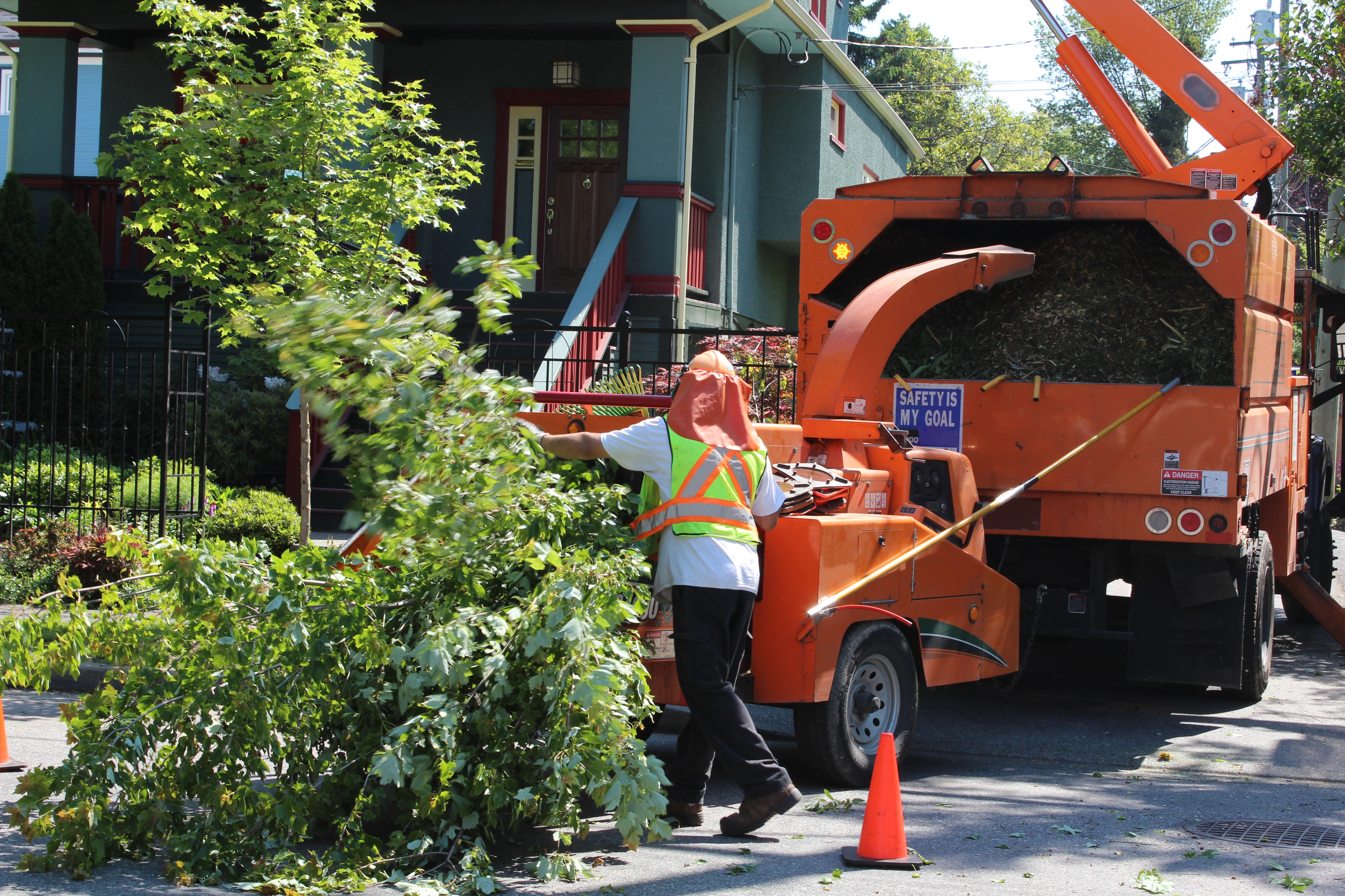Rockaway NJ Tree Service