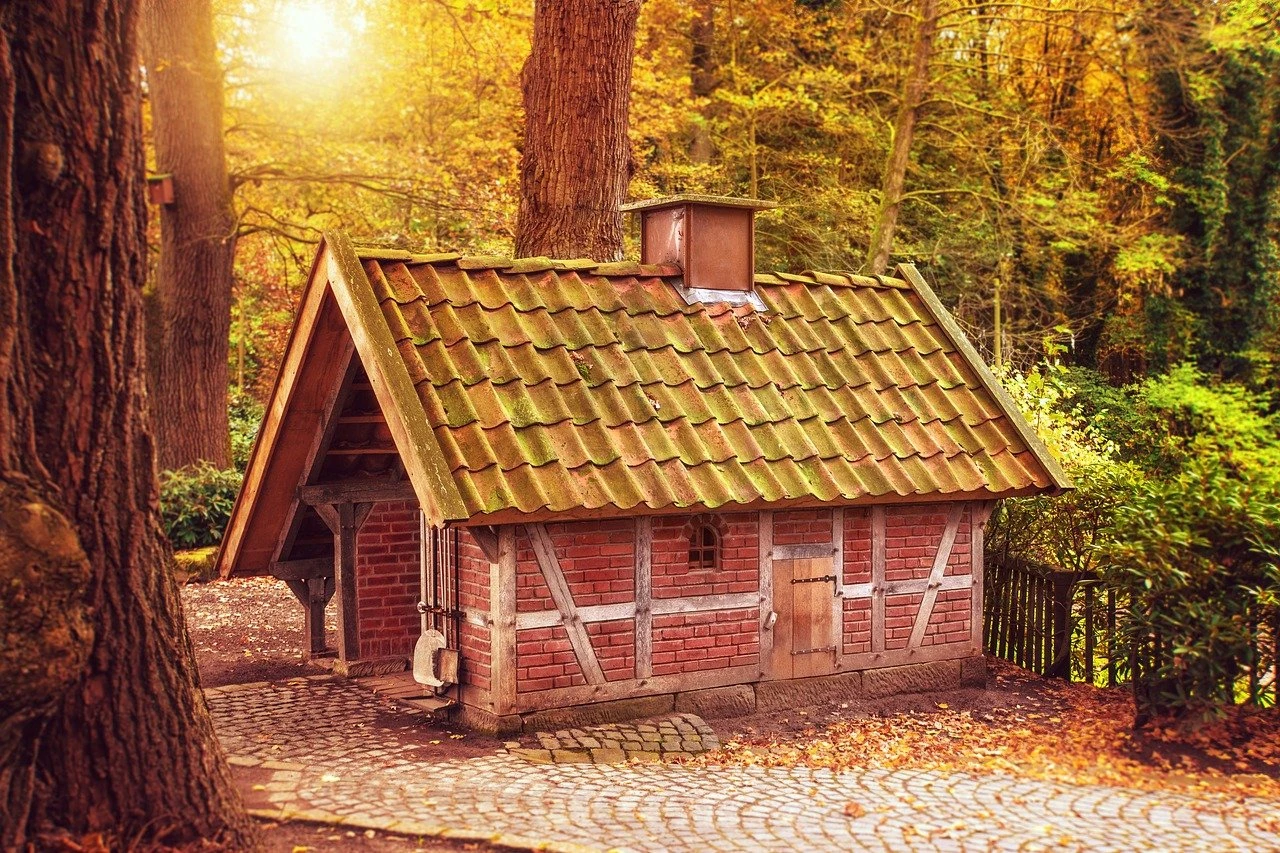 forest, trees, house-3814754.jpg