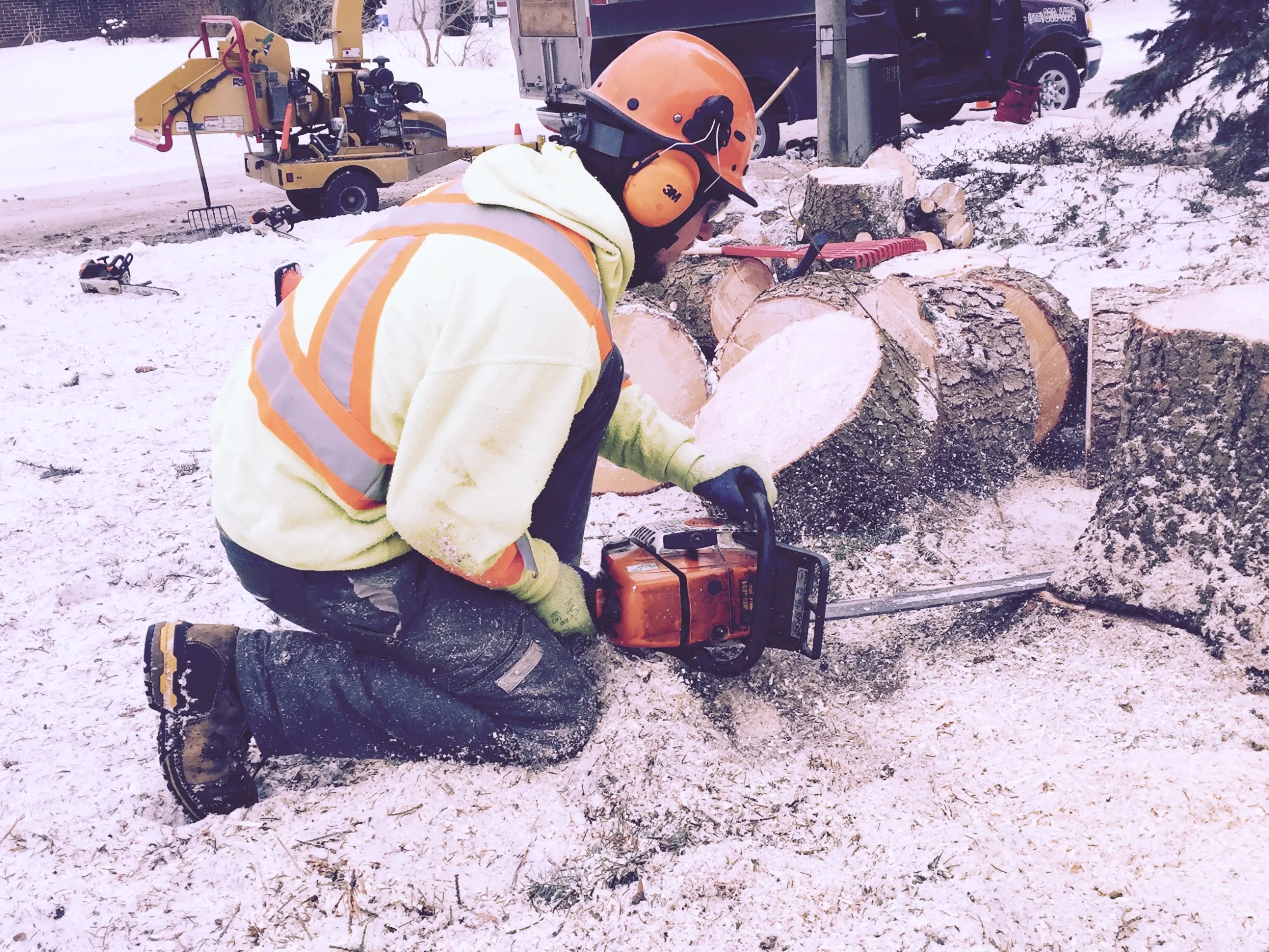 Rockaway NJ Tree Service